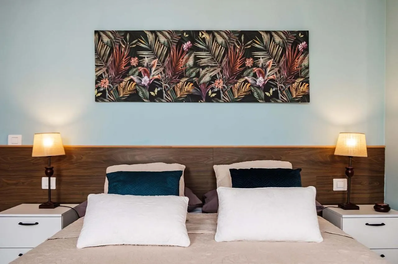 Stylish And Chic City Center Apartment With Wifi Σαν Κριστόμπαλ ντε Λα Λαγούνα
